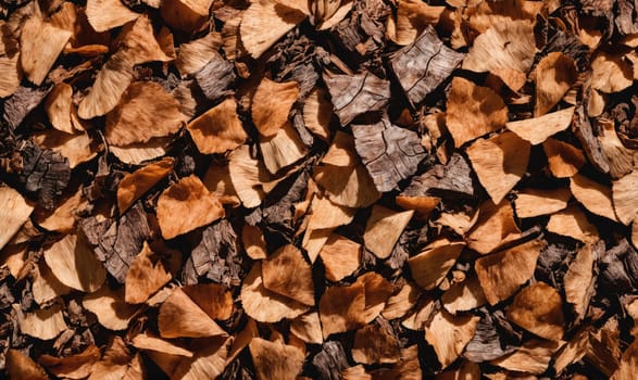 A collection of fallen leaves in shades of brown, covering the ground. The leaves are dry and textured, with some showing signs of decay