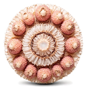 Dried Lychee Mandala pale tan dried lychees spiraling into a precise mandala steam gently rising. Food isolated on transparent background.