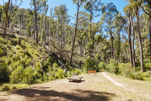 Nolans Creek Picnic Area in Lerderderg State Park on a hot summer's day near Bullengarook in Victoria, Australia