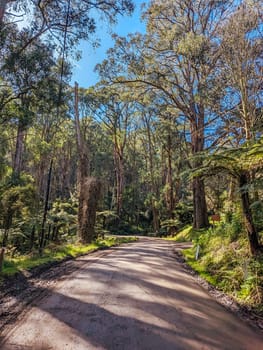 Basin-Olinda Rd and surrounding landscape on a spring sunny day in Melbourne, Victoria, Australia