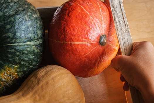 Close up of diverse pumpkins on a wooden background. Autumn harvest.
