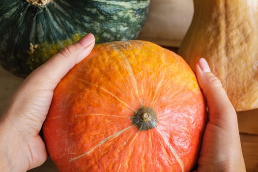 Orange pumpkin in hand on background of multicolored pumpkins. Autumn harvest.