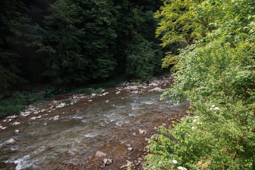 A mountainous shallow river flowing swiftly among the rocks in the forest