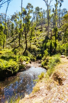 Nolans Creek Picnic Area in Lerderderg State Park on a hot summer's day near Bullengarook in Victoria, Australia