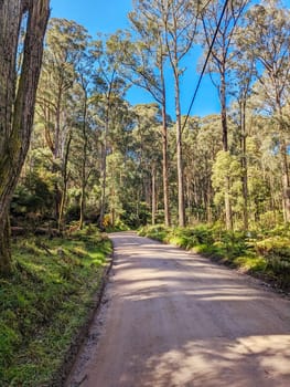 Basin-Olinda Rd and surrounding landscape on a spring sunny day in Melbourne, Victoria, Australia