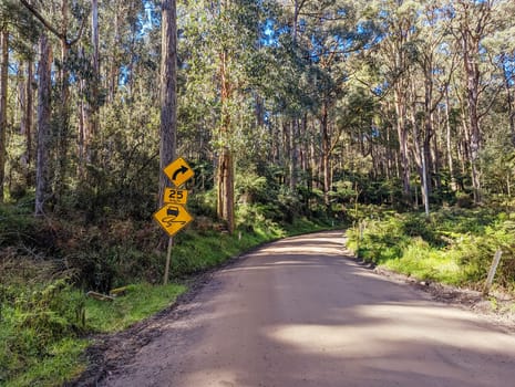 Basin-Olinda Rd and surrounding landscape on a spring sunny day in Melbourne, Victoria, Australia
