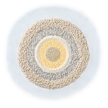 Cowpea flour mandala a circular pattern of fine cowpea flour medium cowpea flour and cowpea. Food isolated on transparent background.