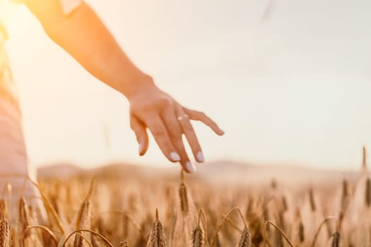 Woman farmer walks through a wheat field at sunset, touching green ears of wheat with his hands. Hand farmer is touching ears of wheat on field in sun, inspecting her harvest. Agricultural business.