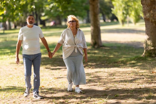 Senior couple holding hands is enjoying a walk in a green park on a sunny summer day
