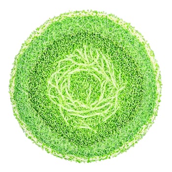Alfalfa Sprout Mandala delicate green alfalfa sprouts arranged in a symmetrical circular pattern stems elegantly. Food isolated on transparent background.