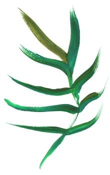 palm leaf painted in gouache with a dry brush isolated on a white background for the design of summer fabrics and other