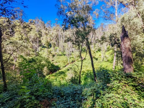 Yackandandah mountain bike trails in Indigo Shire in Victoria, Australia
