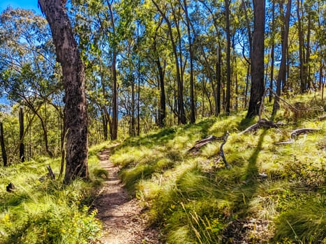 Yackandandah mountain bike trails in Indigo Shire in Victoria, Australia