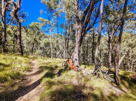 Yackandandah mountain bike trails in Indigo Shire in Victoria, Australia