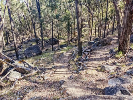 Beechworth mountain bike trails in Indigo Shire in Victoria, Australia