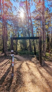 Narooma mountain bike trails near Dalmeny in New South Wales south coast, Australia