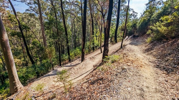 Narooma mountain bike trails near Dalmeny in New South Wales south coast, Australia