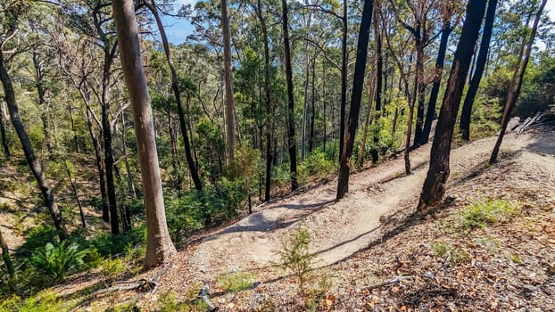Narooma mountain bike trails near Dalmeny in New South Wales south coast, Australia
