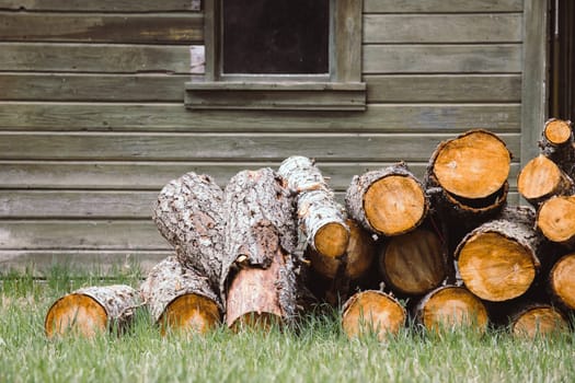 A pile of freshly cut firewood is on the grass by an old shed in north Idaho.