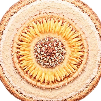 Breadnut mandala a mandala of whole breadnuts breadnut flour and breadnut bread with nuts cracking. Food isolated on transparent background.