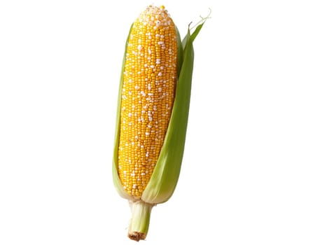 Roasted Corn warm and savory snack of roasted corn served with sprinkle of paprika. Food isolated on transparent background.