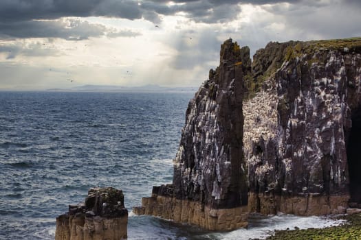 There is a stunning cliff that majestically overlooks the vast ocean, featuring a fascinating cave nestled right in the middle of it