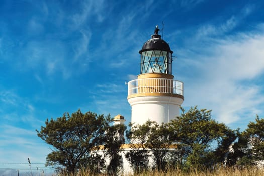 A beautiful photograph of a classic lighthouse set against a bright blue sky, surrounded by lush trees and grasses. The sun shines on this coastal landmark, highlighting its timeless design and peaceful setting. Perfect for projects focused on travel, architecture, or nature, this image captures the serenity and charm of a lighthouse in a natural environment.