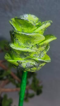 green rose, artificial flower on a stick, crafts, homemade object souvenir gift decoration. High quality photo
