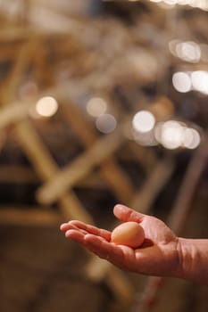 A close-up of a hand holding a single egg, with a blurred background of a poultry farm filled with chickens and equipment. The lighting is warm and highlights the egg.