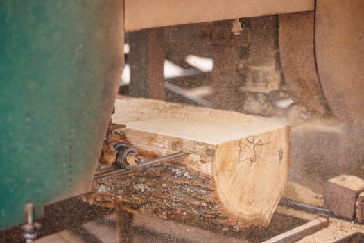 A close-up view of a sawmill with a large log being cut by a band saw. The saw blade is in focus, showing the cutting mechanism, while the log and sawmill environment are blurred in the background.