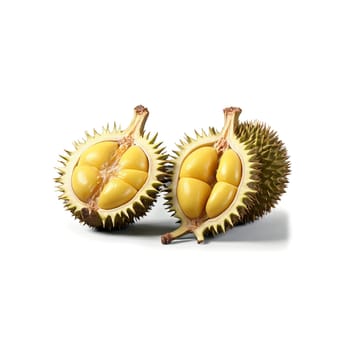 Ripe durians splitting creamy flesh revealed thorny husk separating Durio zibethinus Food and Culinary concept. Food isolated on transparent background.