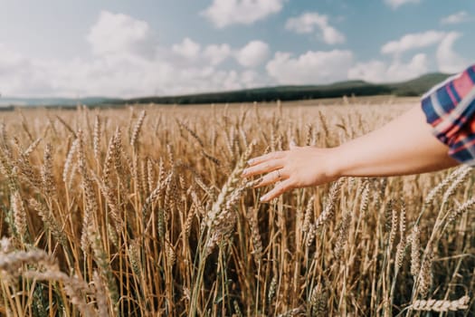 A hand reaches out through tall stalks of wheat in a field, with a bright blue sky and fluffy clouds in the background.