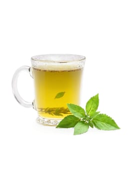 Tulsi holy basil tea glass mug green leaves purple flowers sacred healing herb. Drink isolated on transparent background.