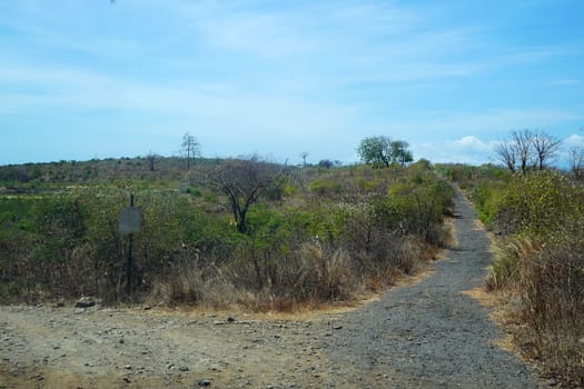 A dirt road winds through a rural landscape with a large tree providing shade, leading towards a distant village and a clear blue sky.