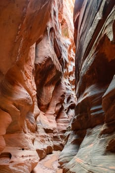 Experience the awe of Buckskin Gulch on the Arizona, Utah border. Known for its majestic slot canyon with tall, narrow sections and breathtaking rock formations. The stunning American Southwest - USA