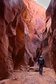 A solitary male hiker explores the breathtaking Buckskin Gulch Slot Canyon on the Arizona, Utah border. Vibrant colors and dramatic lighting highlight the canyon's extraordinary rock formations - USA