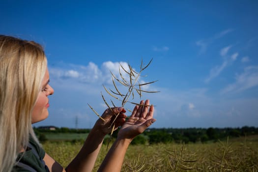 In the heart of the vast rapeseed expanse, a young farmer meticulously inspects the quality of each golden seed, her discerning eye attuned to the nuances of abundance and vitality. Standing amidst the golden waves of rapeseed, she reaches out to touch the harvest, her hands immersed in nature's bounty. The radiant sun bathes the field in its warm glow, illuminating the vibrant hues of the rapeseed against the azure sky, a breathtaking tableau of agricultural abundance. Satisfied with the bountiful and lavish harvest, the woman farmer, adorned in working clothes and with sun-kissed skin, gazes upon the expansive yellow landscape with a sense of fulfillment. With the blue sky adorned with fluffy white clouds overhead, she stands in profile, her spirit merging with the warmth of the sun, celebrating the culmination of her dedication and the richness of the land's yield.