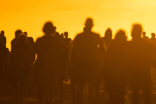 Silhouettes of young people walking at sunset. Mid shot