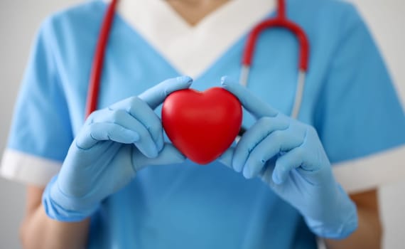 Doctor in gloves holds a red heart. Diseases of the cardiovascular system concept