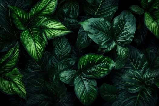 black jungle nature palm floral green leaf tropical monstera colourful green fresh forest background tree leaf flower color vintage dark bush art. Generative AI.