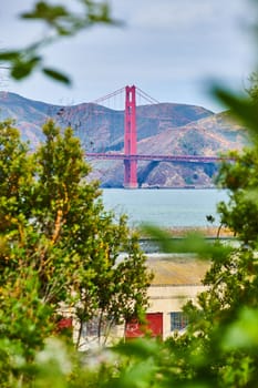 Image of Framed shot of Golden Gate Bridge as seen through green plants