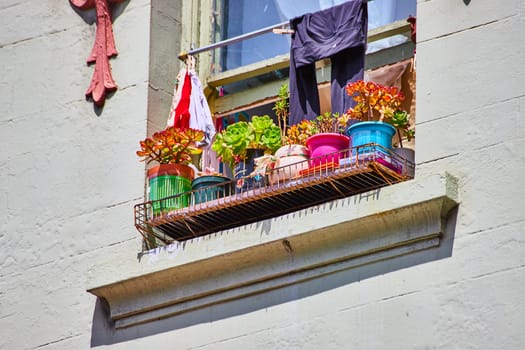 Image of Colorful pots with variety of succulents on windowsill with hanging laundry on sunny day