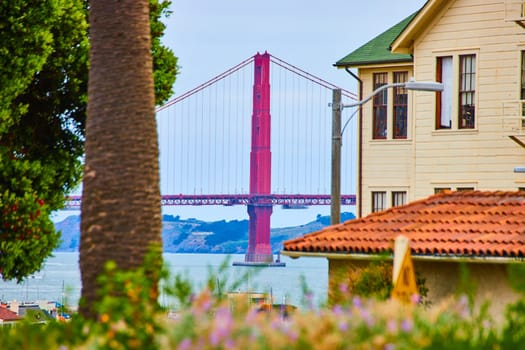 Image of View of Golden Gate Bridge between Fort Mason building and tree trunk