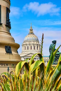 Image of Plants below Pioneer Monument with distant city hall on blue sky day tinged with purple clouds