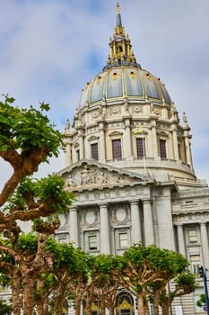 Image of Green trees in front of impressive San Francisco city hall back entrance