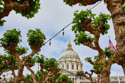 Image of String lights through trees with Betsy Ross Flag with view between trees of city hall