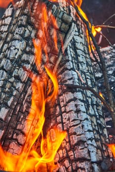 Image of Orange and yellow flames lapping at two ashen logs close up background asset