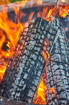 Image of Orange and yellow flames licking at ashen wood logs in fire pit close up background asset