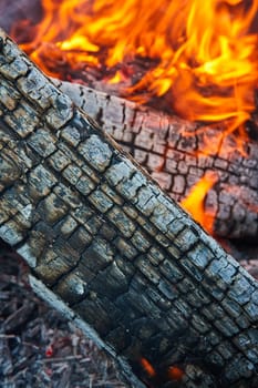 Image of Detailed view of burnt log covered in white ashes and orange and red flames background asset