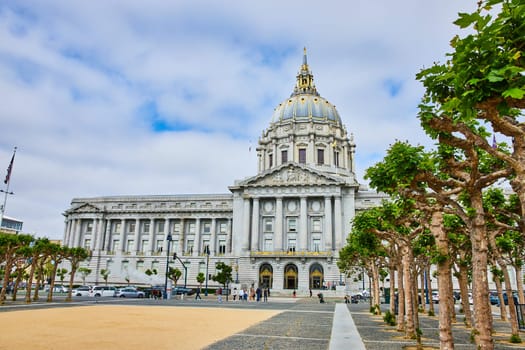 Image of City hall with rows of trees front entrance view with pedestrians and cars